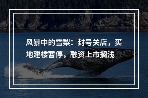 风暴中的雪梨：封号关店，买地建楼暂停，融资上市搁浅