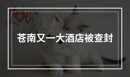 苍南又一大酒店被查封