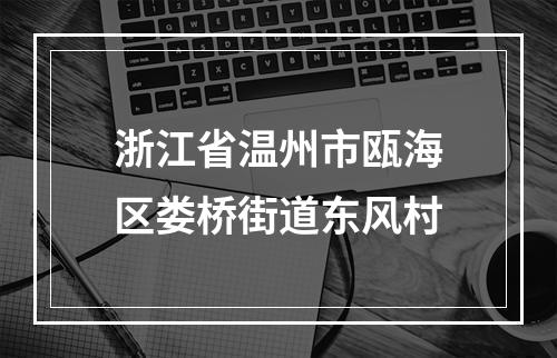 浙江省温州市瓯海区娄桥街道东风村