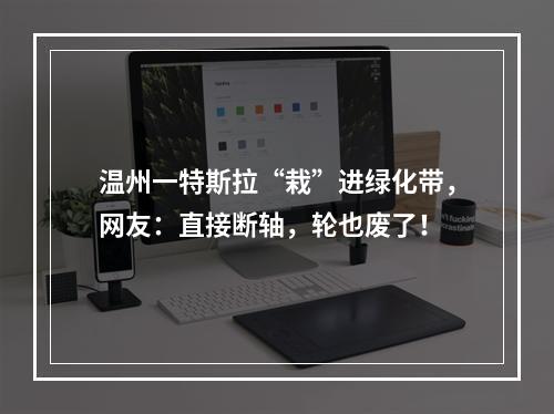 温州一特斯拉“栽”进绿化带，网友：直接断轴，轮也废了！