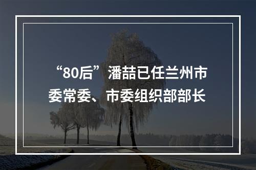 “80后”潘喆已任兰州市委常委、市委组织部部长