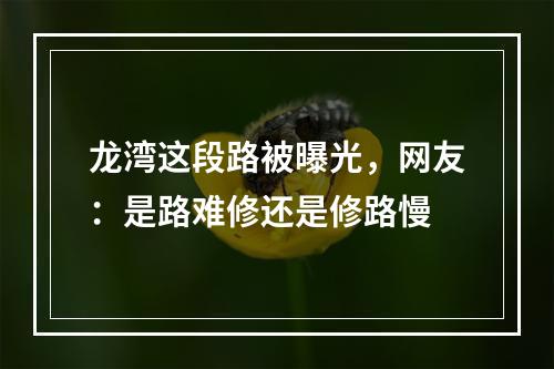 龙湾这段路被曝光，网友：是路难修还是修路慢