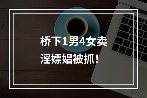 桥下1男4女卖淫嫖娼被抓！
