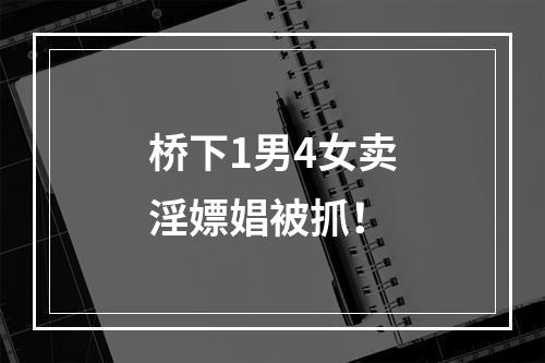 桥下1男4女卖淫嫖娼被抓！