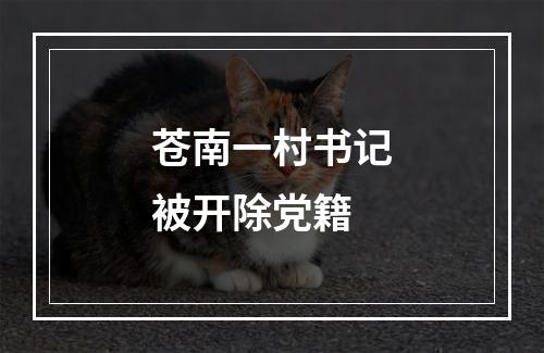 苍南一村书记被开除党籍