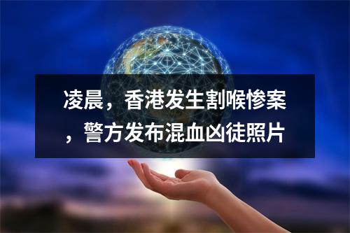 凌晨，香港发生割喉惨案，警方发布混血凶徒照片