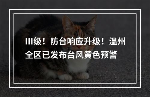Ⅲ级！防台响应升级！温州全区已发布台风黄色预警