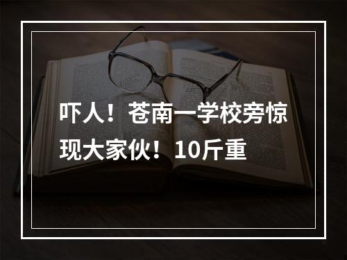 吓人！苍南一学校旁惊现大家伙！10斤重