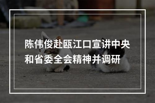 陈伟俊赴瓯江口宣讲中央和省委全会精神并调研