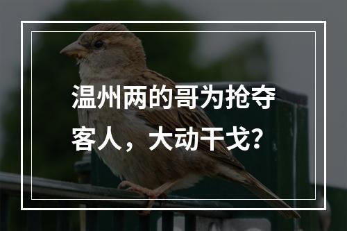 温州两的哥为抢夺客人，大动干戈？