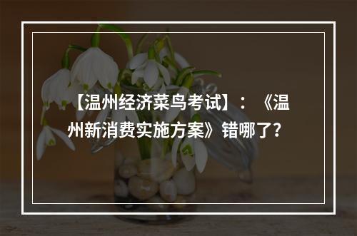 【温州经济菜鸟考试】：《温州新消费实施方案》错哪了？