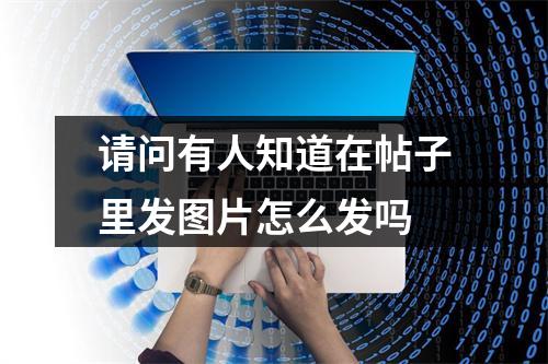 请问有人知道在帖子里发图片怎么发吗