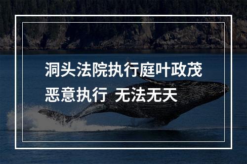 洞头法院执行庭叶政茂恶意执行  无法无天