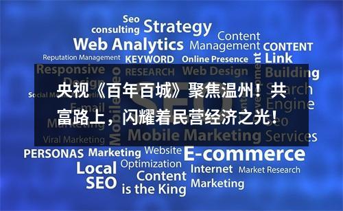 央视《百年百城》聚焦温州！共富路上，闪耀着民营经济之光！