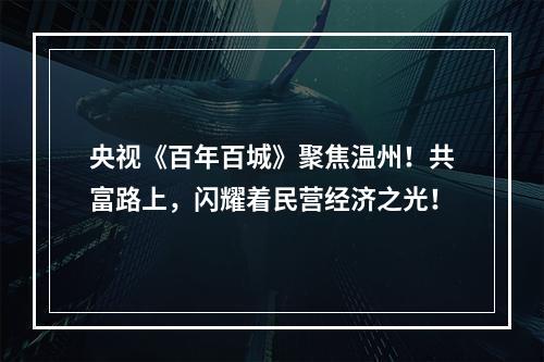 央视《百年百城》聚焦温州！共富路上，闪耀着民营经济之光！