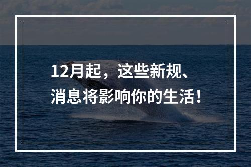 12月起，这些新规、消息将影响你的生活！