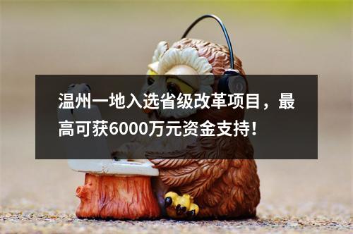 温州一地入选省级改革项目，最高可获6000万元资金支持！
