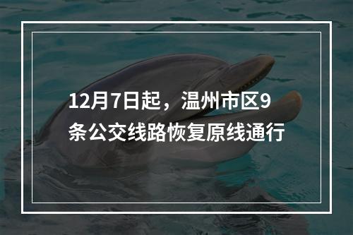 12月7日起，温州市区9条公交线路恢复原线通行