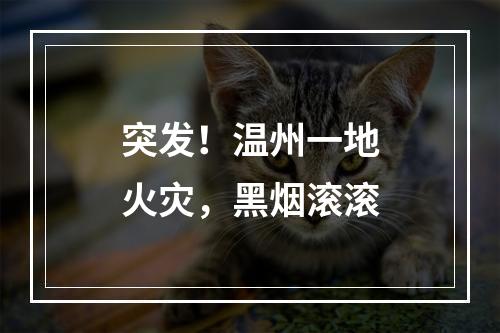 突发！温州一地火灾，黑烟滚滚