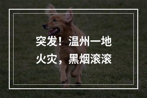 突发！温州一地火灾，黑烟滚滚