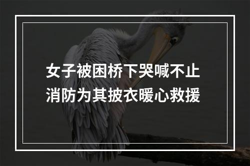 女子被困桥下哭喊不止 消防为其披衣暖心救援