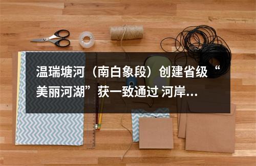 温瑞塘河（南白象段）创建省级“美丽河湖”获一致通过 河岸同治，助推南部新区建设