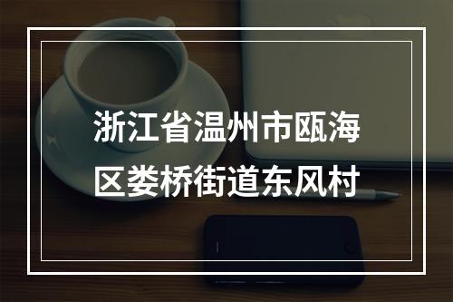 浙江省温州市瓯海区娄桥街道东风村