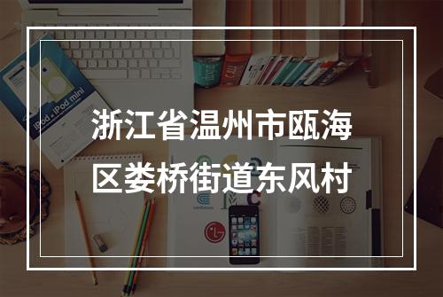 浙江省温州市瓯海区娄桥街道东风村