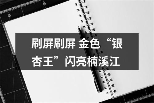 刷屏刷屏 金色“银杏王”闪亮楠溪江