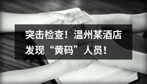 突击检查！温州某酒店发现“黄码”人员！