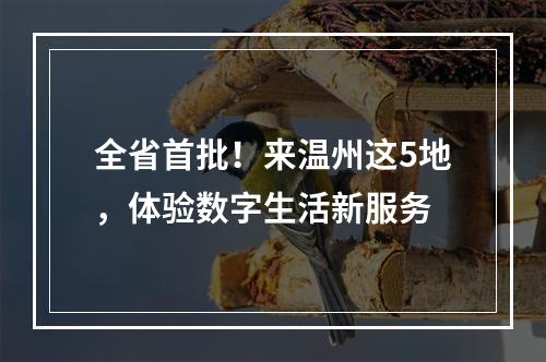全省首批！来温州这5地，体验数字生活新服务