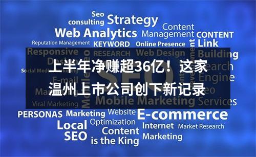 上半年净赚超36亿！这家温州上市公司创下新记录