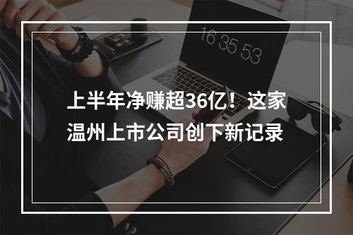 上半年净赚超36亿！这家温州上市公司创下新记录