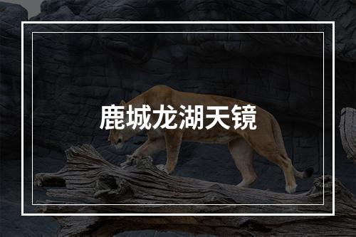 鹿城龙湖天镜