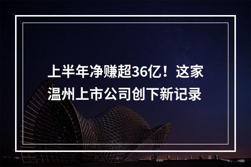 上半年净赚超36亿！这家温州上市公司创下新记录