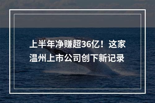 上半年净赚超36亿！这家温州上市公司创下新记录