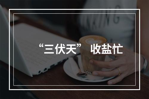 “三伏天” 收盐忙