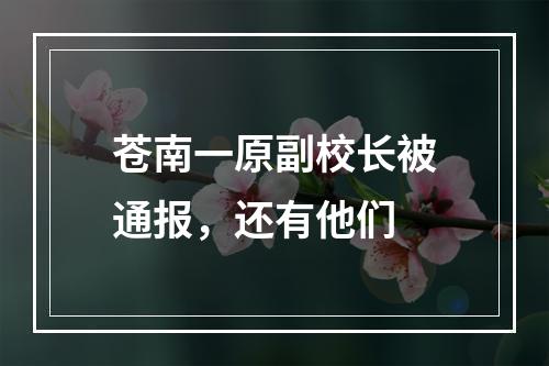苍南一原副校长被通报，还有他们