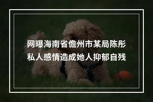 网曝海南省儋州市某局陈彤私人感情造成她人抑郁自残