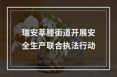 瑞安莘塍街道开展安全生产联合执法行动