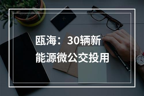 瓯海：30辆新能源微公交投用