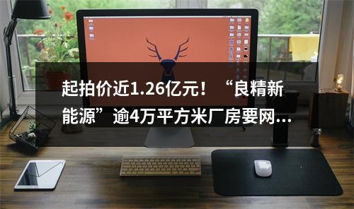 起拍价近1.26亿元！“良精新能源”逾4万平方米厂房要网拍