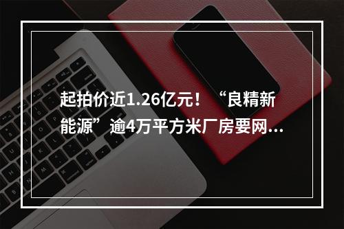 起拍价近1.26亿元！“良精新能源”逾4万平方米厂房要网拍
