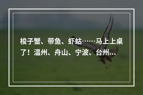 梭子蟹、带鱼、虾蛄……马上上桌了！温州、舟山、宁波、台州四地开渔