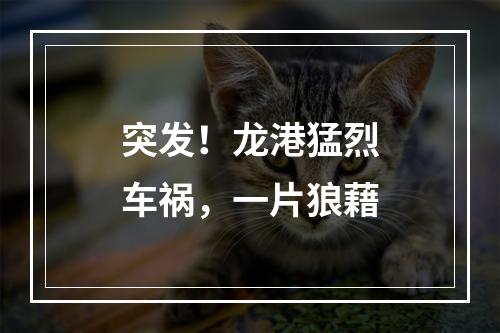 突发！龙港猛烈车祸，一片狼藉