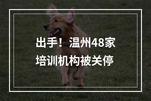 出手！温州48家培训机构被关停