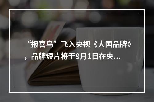 “报喜鸟”飞入央视《大国品牌》，品牌短片将于9月1日在央视1套节目率先播出