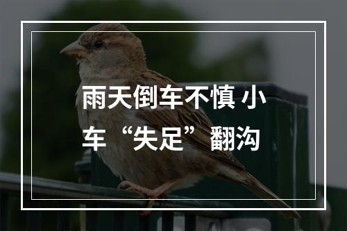 雨天倒车不慎 小车“失足”翻沟