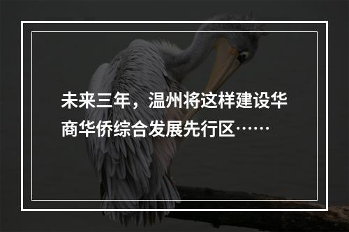 未来三年，温州将这样建设华商华侨综合发展先行区……