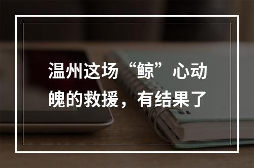 温州这场“鲸”心动魄的救援，有结果了